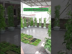Garten-Indoor-Farming-Blütenblatt-Hydrokultur-Wachstumstürme