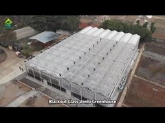 Gewerbliches Landwirtschaftsglashaus Venlo Gewächshaus mit Ventilation