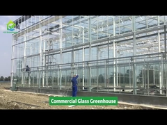 AX Gewächshausprojekt - Gewerbliches Glasgewächshaus