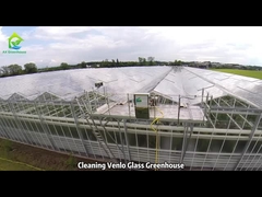 Reinigung Venlo-Glashaus