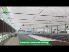 Polytunnel-Gewächshausprojekt für Setzlinge
