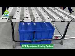Vertikale Landwirtschaft, erdloser Anbau, hydroponisches NFT-Vierkantrohrsystem