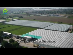Vollständig intelligentes Glashaus für den Anbau von Tomaten und Paprika