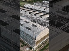 Modernes, intelligentes Venlo-Polycarbonat-Panel-Solar-Photovoltaik-Gewächshaus mit mehreren Feldern