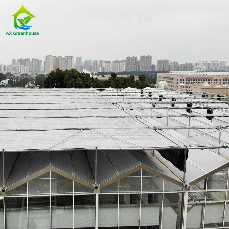 Hot Dip Galvanized Stahlkonstruktion Dreieckdach Formen 30*20m kommerzielle kundenspezifische automatische Gewächshaus Venlo Glas Gewächshaus