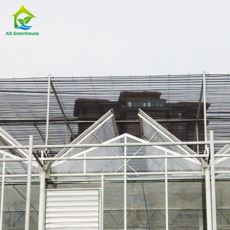 9.6m/10.8m/12m Breite Aluminiumlegierungsrahmen Landwirtschaftsglas Venlo Mehrspannung Gewächshaus mit Dreiecksdachform