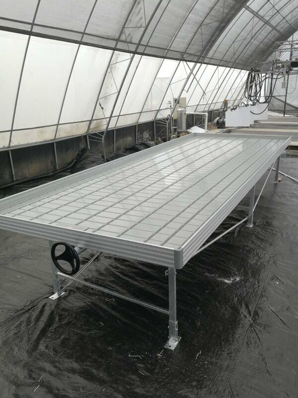Wachsen Sie Tabellen-Flut-Tray Rolling Ebb And Flow-Bank für Blumen-Gewächshaus-Sämling