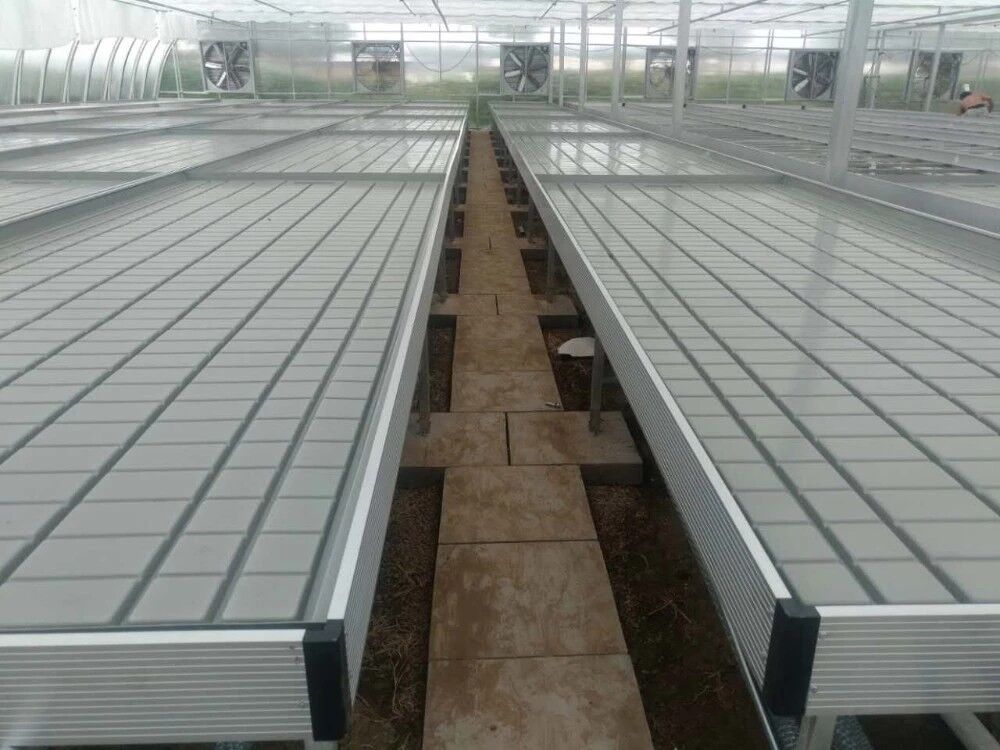Wachsen Sie Tabellen-Flut-Tray Rolling Ebb And Flow-Bank für Blumen-Gewächshaus-Sämling