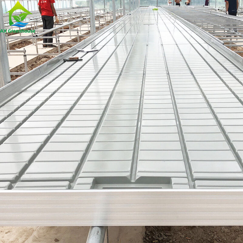 Gewächshaus Ebb Flow Aussaat Rollbank Wachstumstische für den Anbau verschiedener Pflanzenarten