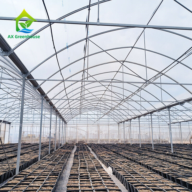 Multi Span Tropical Metal Frame Struktur Tomate Poly Tunnel Gewächshaus für Obst und Gemüse
