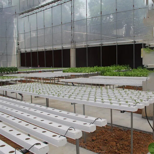 Soilless Indoor Farming Erdbeeren wachsen PVC-Rohr für Hydroponik NFT-System zum Verkauf