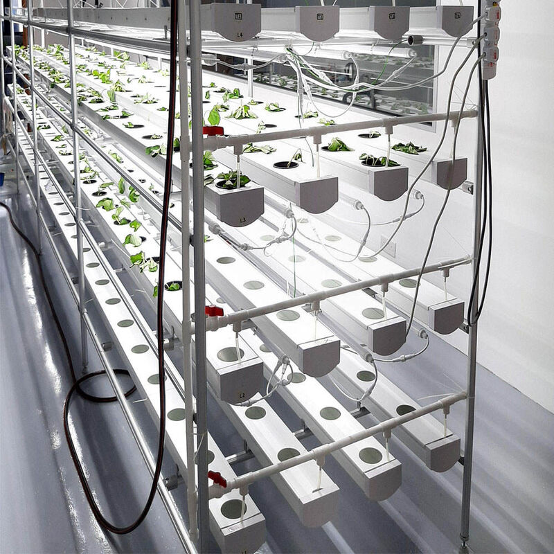 Soilless Indoor Farming Erdbeeren wachsen PVC-Rohr für Hydroponik NFT-System zum Verkauf