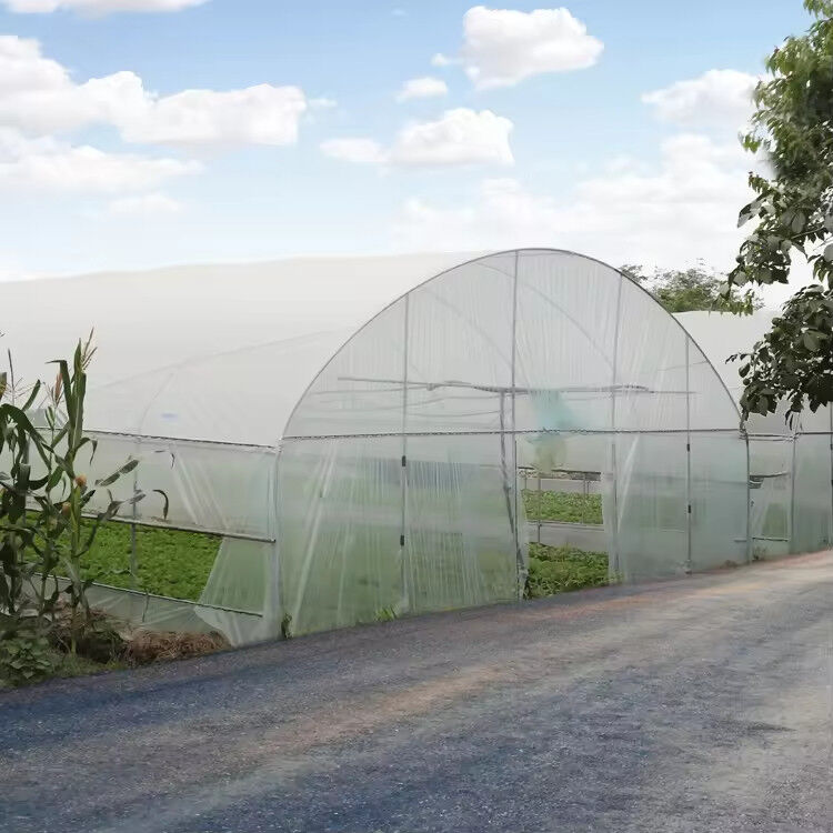 Niedrigpreis-Plastik-PE-Film UV-beständig Einfach-Span Gemüse-Frucht-Schuppen Gewächshaus Zelt