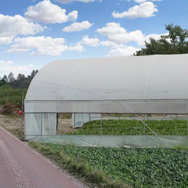 Niedrigpreis-Plastik-PE-Film UV-beständig Einfach-Span Gemüse-Frucht-Schuppen Gewächshaus Zelt