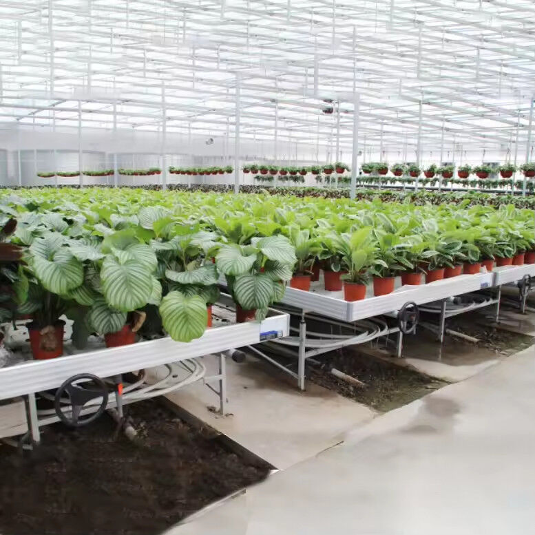 Gewächshaus Indoor Hydroponic Ebb And Flood Rolling Benches Wachsen Samen Tisch Für das Sämmen