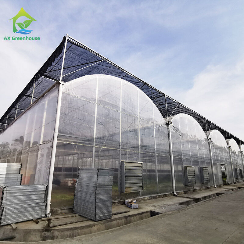 UV-beständig 30x10m Kunststofffolie Gewächshaus für Tomaten und Gemüse mit Folie