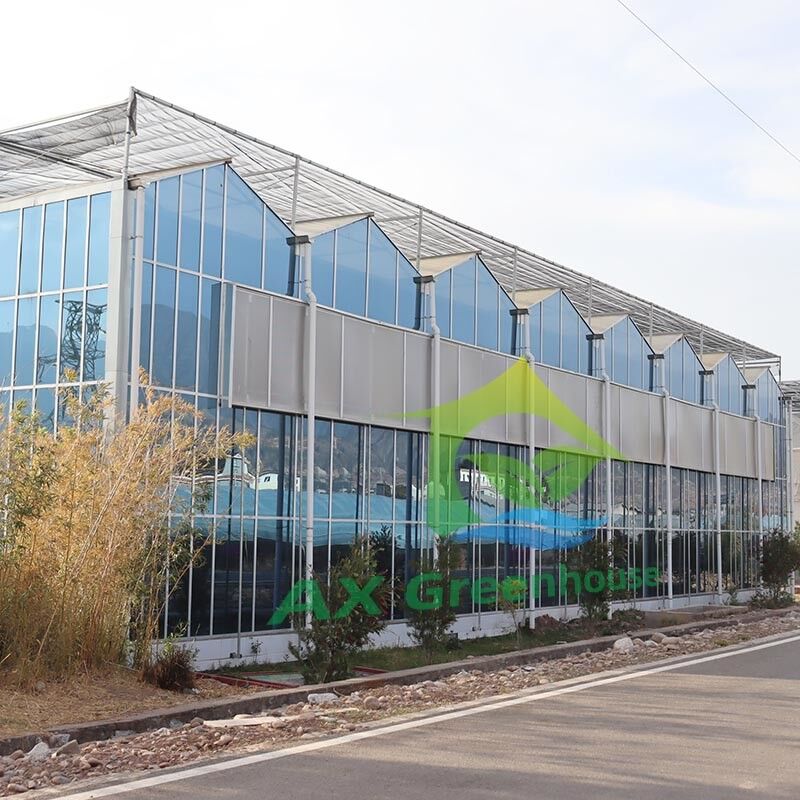 Hot Dip Galvanized Stahlkonstruktion und verstärkte Glasbedeckung für eine optimale Belüftung in landwirtschaftlichen Glas Gewächshäusern