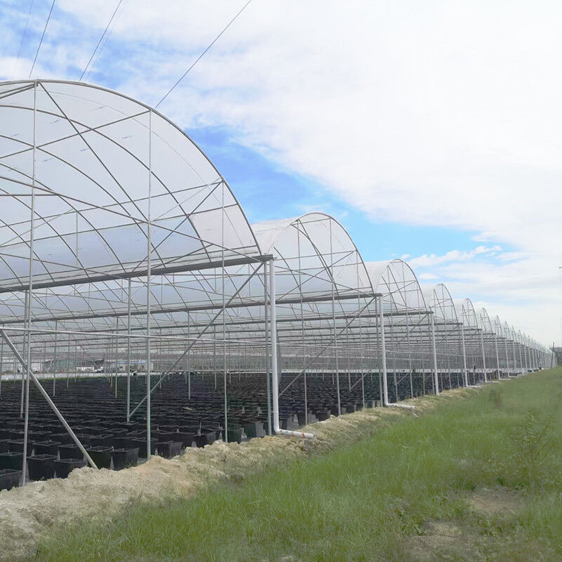 UV-beständig 30x10m Kunststofffolie Gewächshaus für Tomaten und Gemüse mit Folie