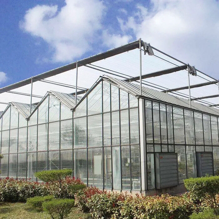 Hot Dip Galvanized Stahlkonstruktion Dreieckdach Formen 30*20m kommerzielle kundenspezifische automatische Gewächshaus Venlo Glas Gewächshaus