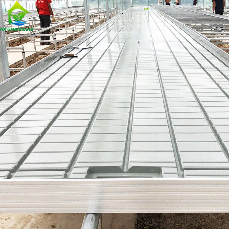Ebb Flow Custom Doppelschichten Flut wachsen Tisch Saatbett Rollbank Beweglich und für Blumen geeignet