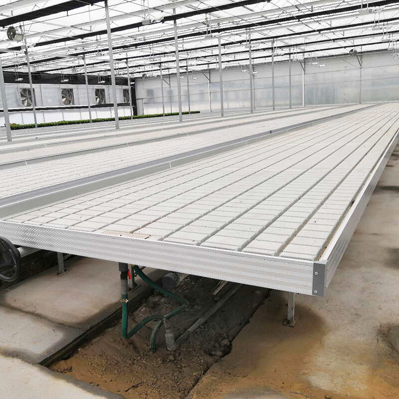 Ebb Flow Custom Doppelschichten Flut wachsen Tisch Saatbett Rollbank Beweglich und für Blumen geeignet