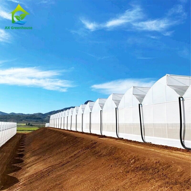 Kunststoff UV-Film Poly Tunnel Landwirtschaftliche Sägezahn Mehrspann-Maßgeschneiderte Gewächshaus zum Verkauf
