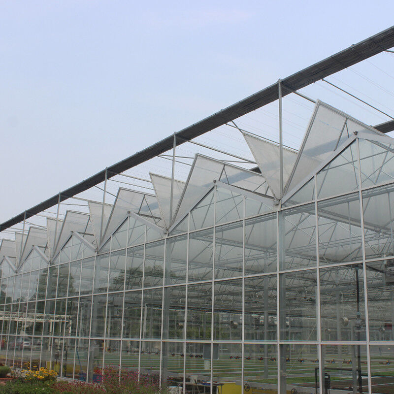 Heißgetränktes, galvanisiertes, mehrspannendes Venlo-gehärtetes Glas-Tomaten-Gewächshaus für optimale Wachstumsbedingungen