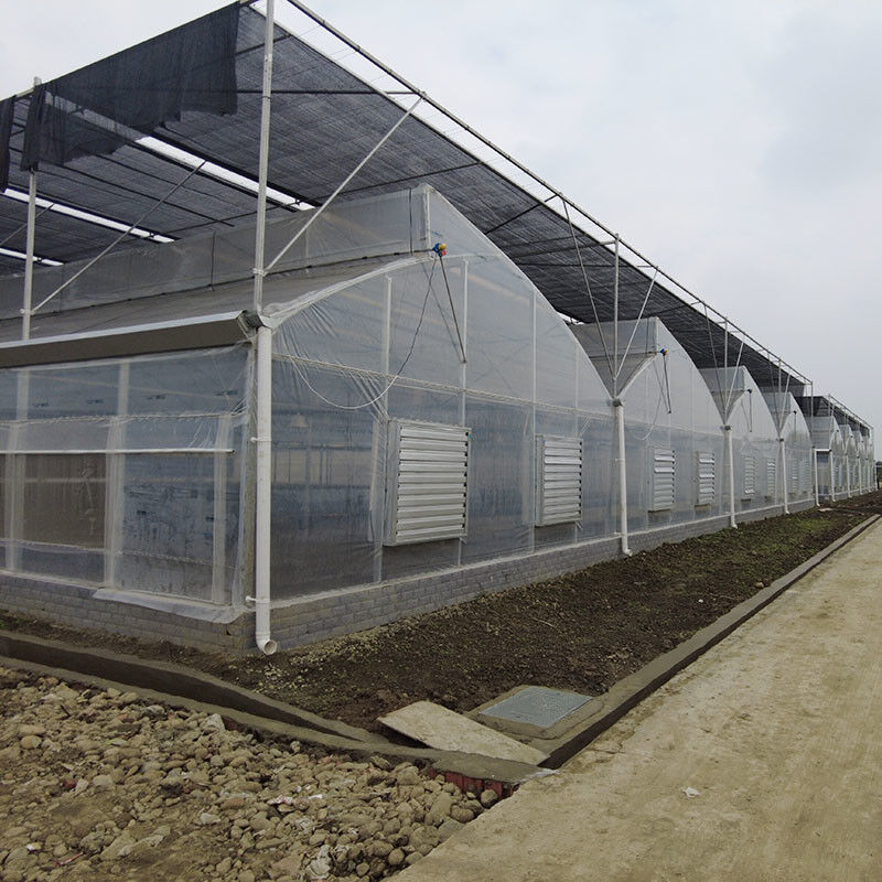 Kunststoff UV-Film Poly Tunnel Landwirtschaftliche Sägezahn Mehrspann-Maßgeschneiderte Gewächshaus zum Verkauf