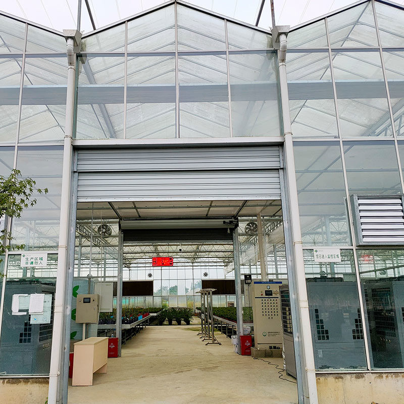 Hot Dip Galvanized Stahlkonstruktion Automatische Belüftung Landwirtschaftliches Glas Venlo Mehrspann-Tomatensamen Gewächshaus