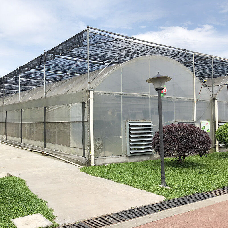 Langlebiger, kundenspezifischer Poly-Tunnel-Mehrfeld-Folien-Landwirtschaftsgewächshaus für Blumen