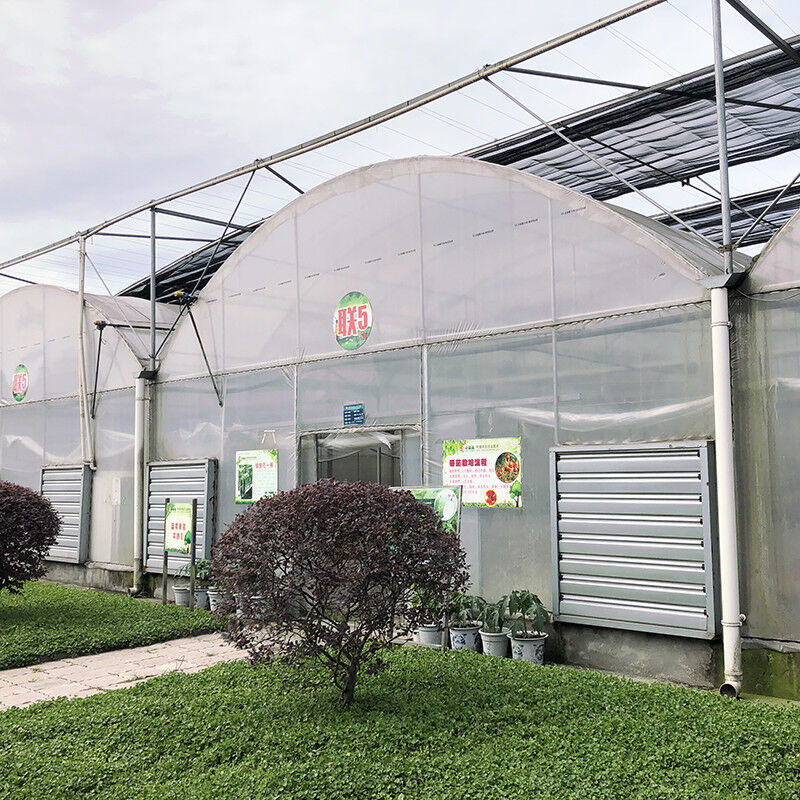 Langlebiger, kundenspezifischer Poly-Tunnel-Mehrfeld-Folien-Landwirtschaftsgewächshaus für Blumen
