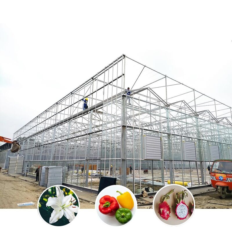 Mehrspannen-Venlo-Glas-Landwirtschaftlichem Gewächshaus mit Dreieckdachform und oberseitiger Lüftung für die Lüftung