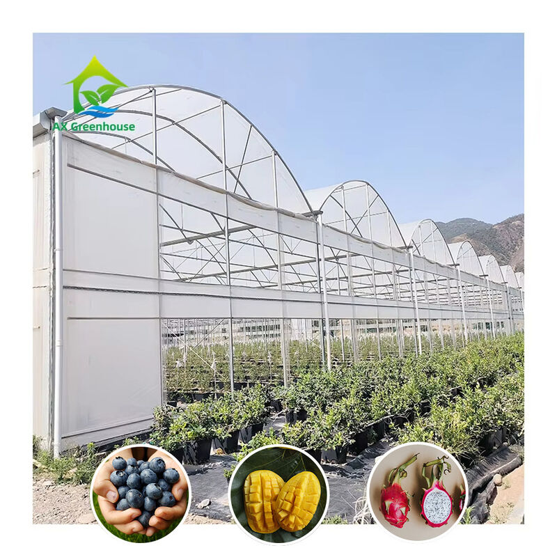 Langlebige Mehrspannungspolytunnel Gewächshäuser Schwerlaststahl Windschneewehr Gewerbebetriebe Baumschulen