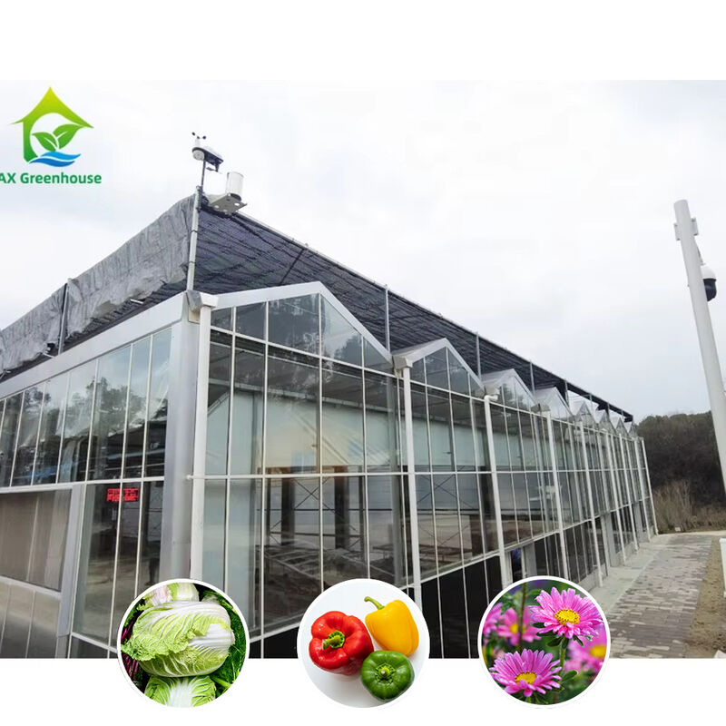 Verzinkte Große Tunnel-Glasgewächshäuser für Blumen