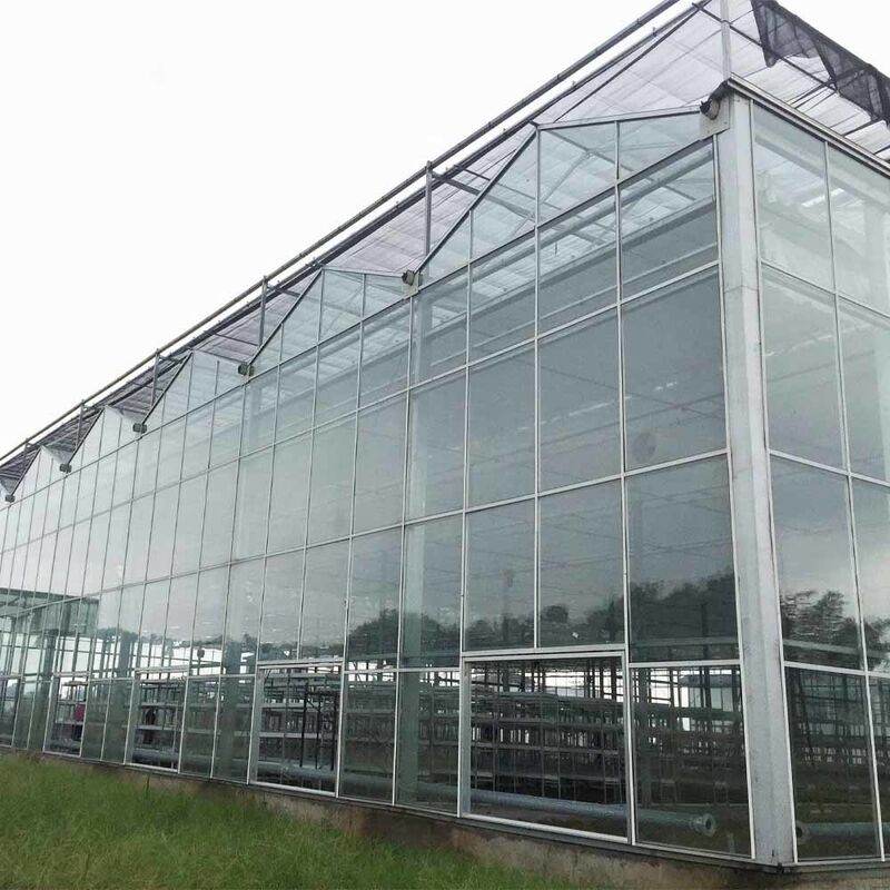 Mehrspannen-Venlo-Glas-Landwirtschaftlichem Gewächshaus mit Dreieckdachform und oberseitiger Lüftung für die Lüftung