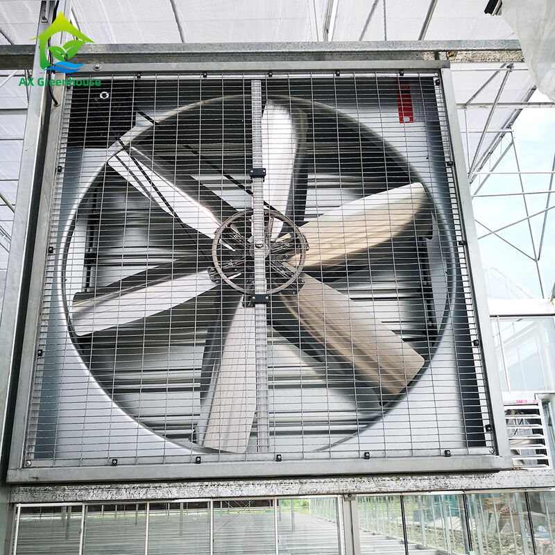 Industrielle Aluminium-Gewächshaus-Abluftventilatoren, korrosionsbeständig für feuchte Verdunstungskühlung