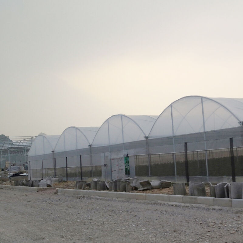 Modularisiertes Design von kommerziellen Polytunnels mit mehreren Spannungen