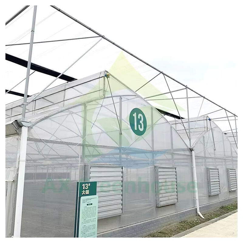 Multi-Span Poly Tunnel Gewächshaus mit Sägezahndach für natürliche Belüftung und Lichtstreuung