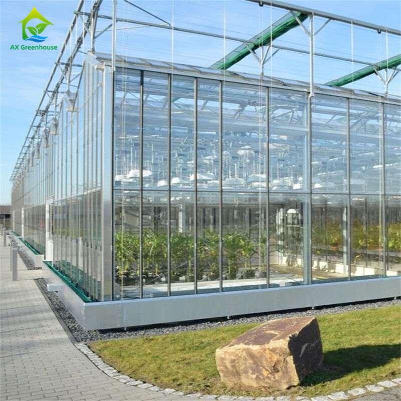 Gemüse-Erdbeer-Anbauausrüstung in langlebigem Glas-Polycarbonat-Gewächshaus - All-in-One-Gewächshaus-Kit