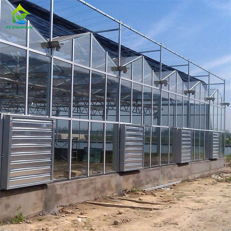 Gemüse-Erdbeer-Anbauausrüstung in langlebigem Glas-Polycarbonat-Gewächshaus - All-in-One-Gewächshaus-Kit