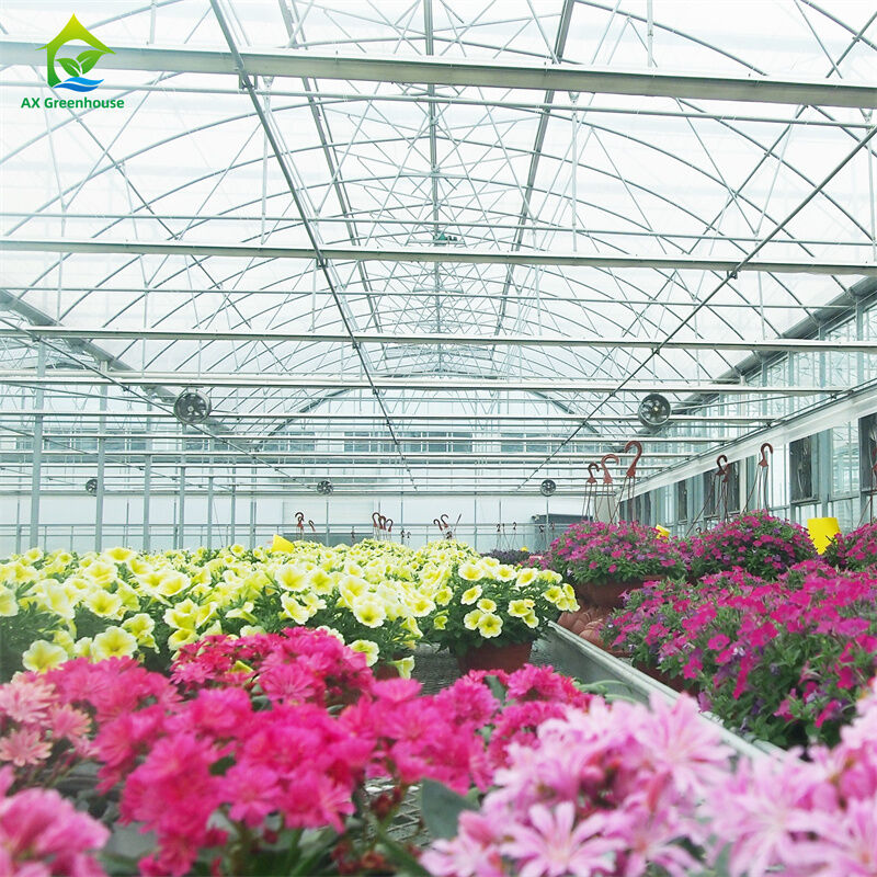 Intelligentes gehärtetes Glas Transparentes Gewächshaus Großes Mehrfeld-Feuerverzinktes Stahlrohr Landwirtschaftliche Glasgewächshäuser für Pflanzen- und Blumenanbau