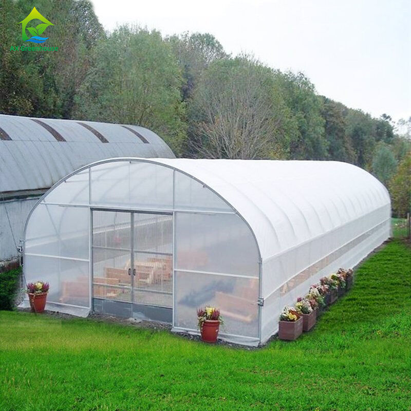 Günstiges landwirtschaftliches Gewächshaus, kommerzielles Gewächshaus, intelligentes Einzel-Schiff-Gewächshaus für den Tomatenanbau