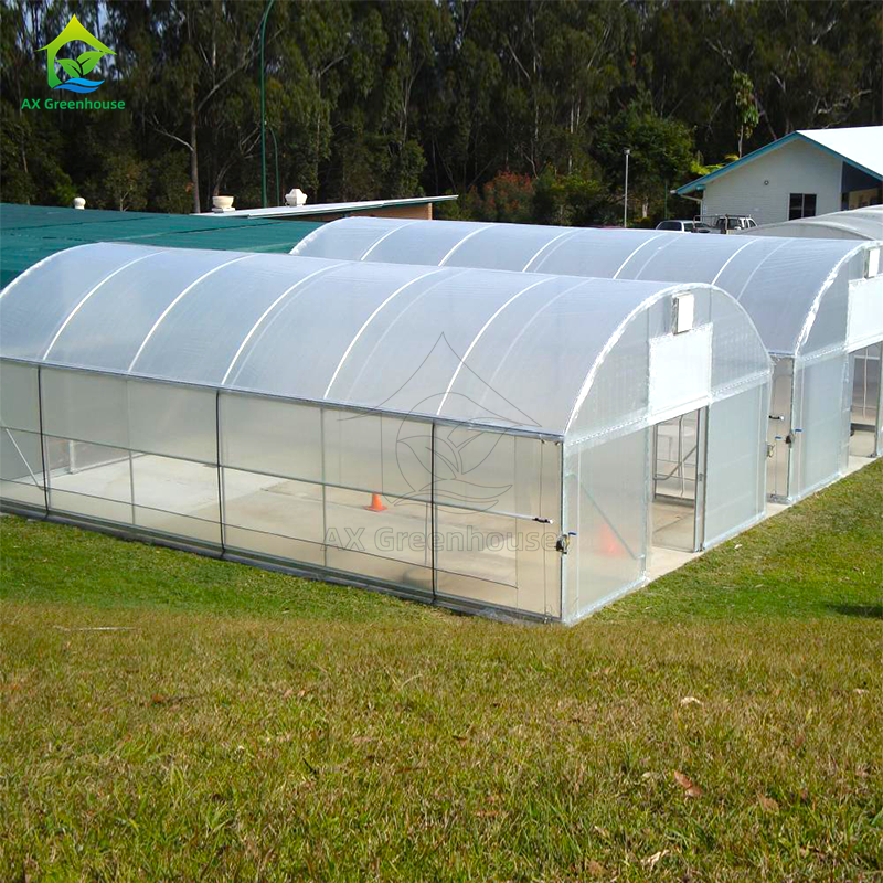 Günstiges landwirtschaftliches Gewächshaus, kommerzielles Gewächshaus, intelligentes Einzel-Schiff-Gewächshaus für den Tomatenanbau
