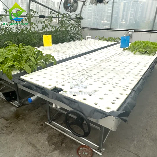 Ebb&Flow Rolling Bench Floating Board DWC Tiefwasserkultur Gewächshaus Bodenloses Gemüse Anbau