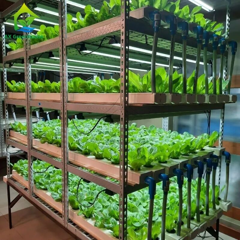 Automatisiertes mehrschichtiges vertikal-NFT-Hydroponisches System mit integrierter LED-Beleuchtung für Bodenlosanbau