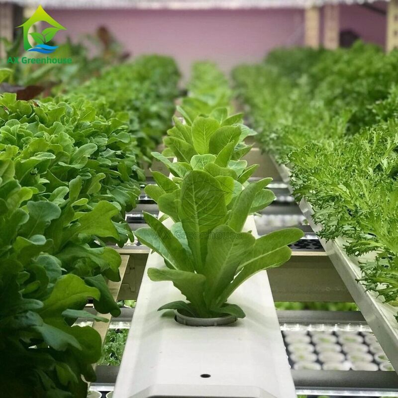 Automatisiertes mehrschichtiges vertikal-NFT-Hydroponisches System mit integrierter LED-Beleuchtung für Bodenlosanbau