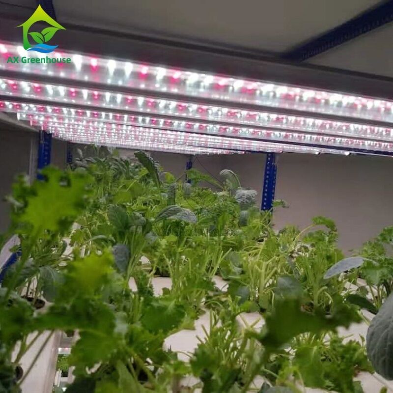Automatisiertes mehrschichtiges vertikal-NFT-Hydroponisches System mit integrierter LED-Beleuchtung für Bodenlosanbau