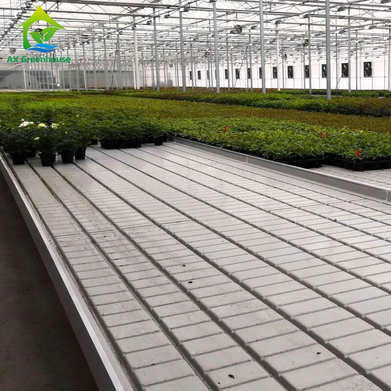 Kommerzielle Aluminiumrahmen Ebb & Flow Bench mit verstellbarer Höhe und integriertem PP/ABS-Tray für Gewächshäuser