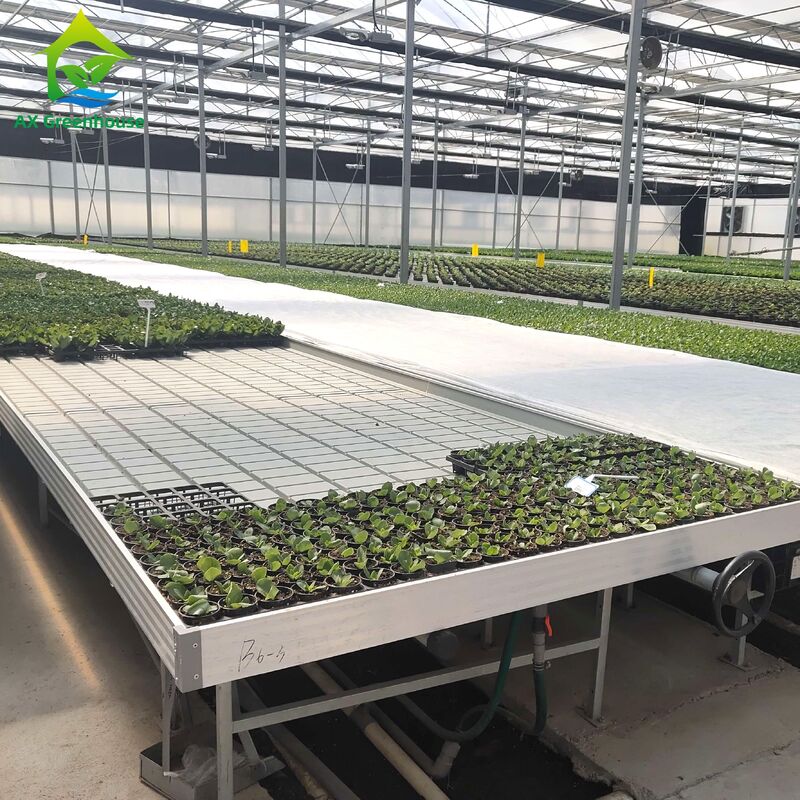 Kommerzielle Aluminiumrahmen Ebb & Flow Bench mit verstellbarer Höhe und integriertem PP/ABS-Tray für Gewächshäuser