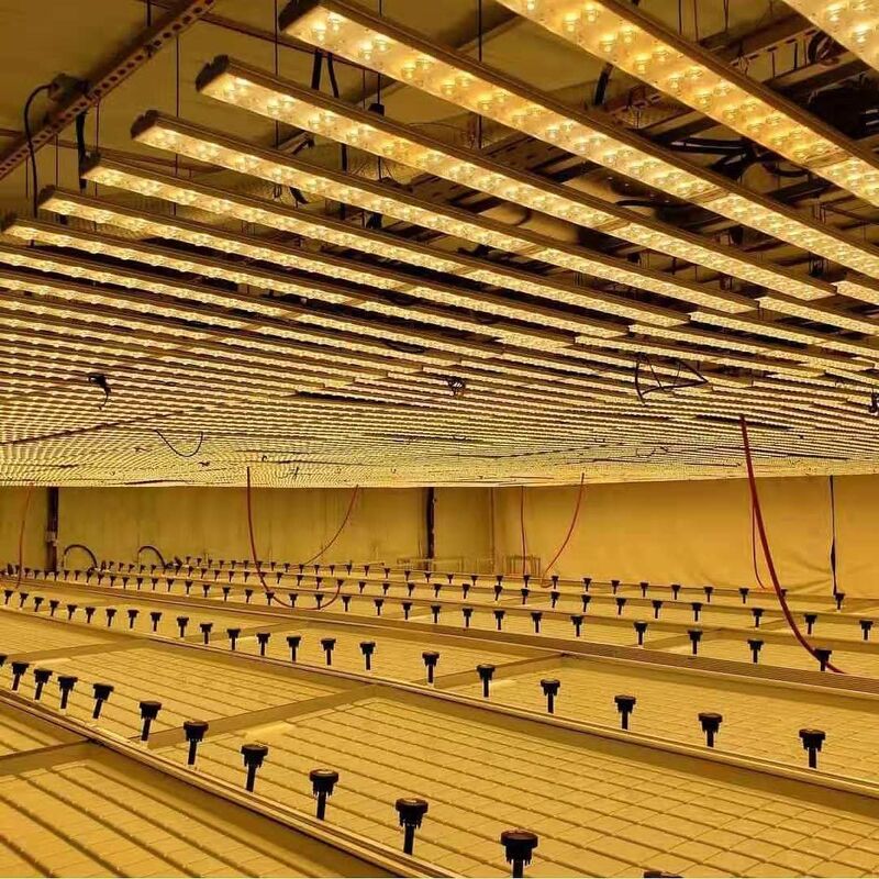 0.71-1.78m Breiten-Gewächshaus-Rollen setzt Ebbe und Flut-Wasserkulturflut-Tabelle auf die Bank